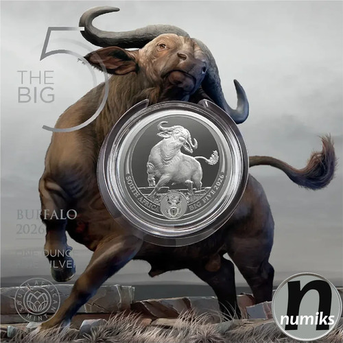 Bufalo 2026 - bufalo,