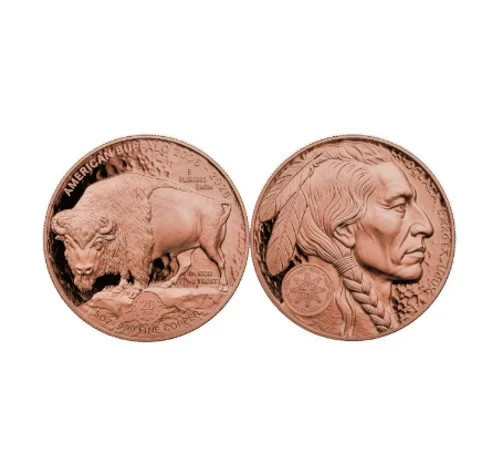 Bufalo 2026 oglala - bufalo,